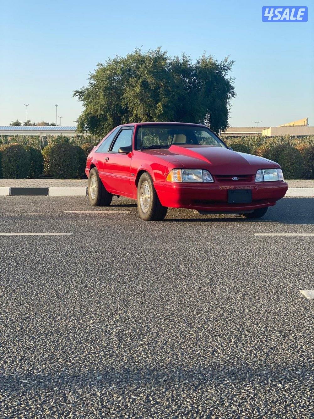 للبيع موستنق lx19870