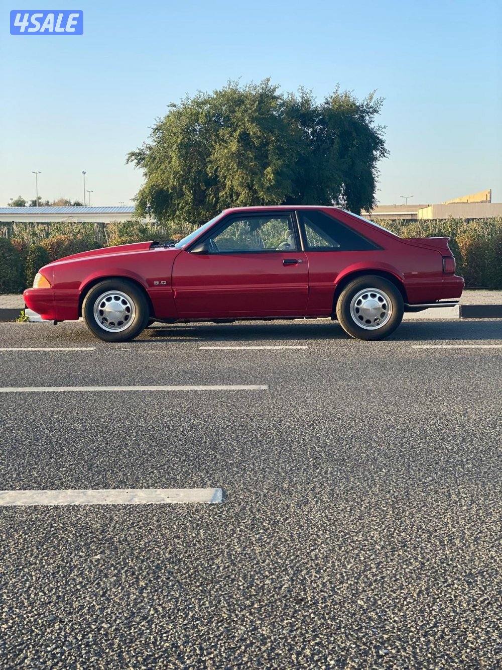 للبيع موستنق lx19871