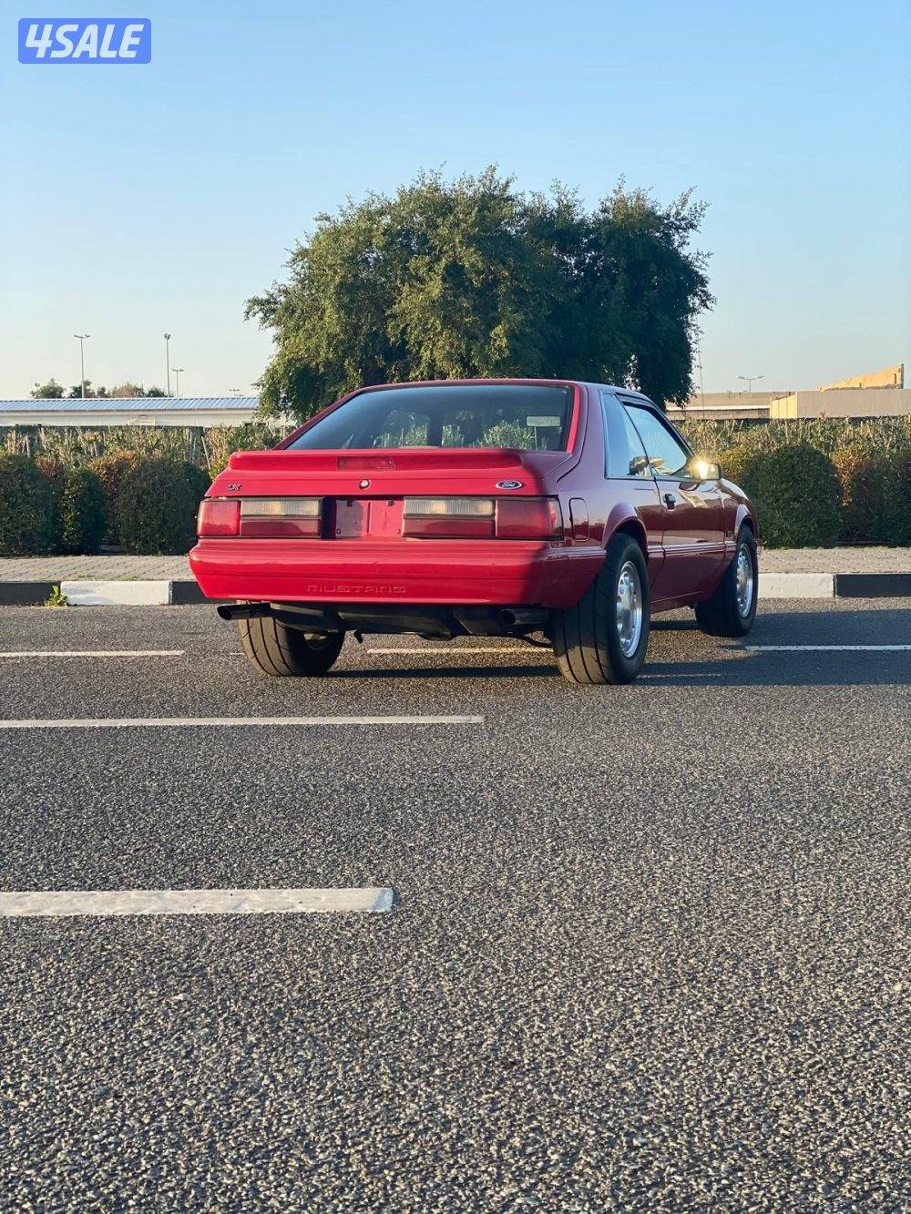 للبيع موستنق lx19872