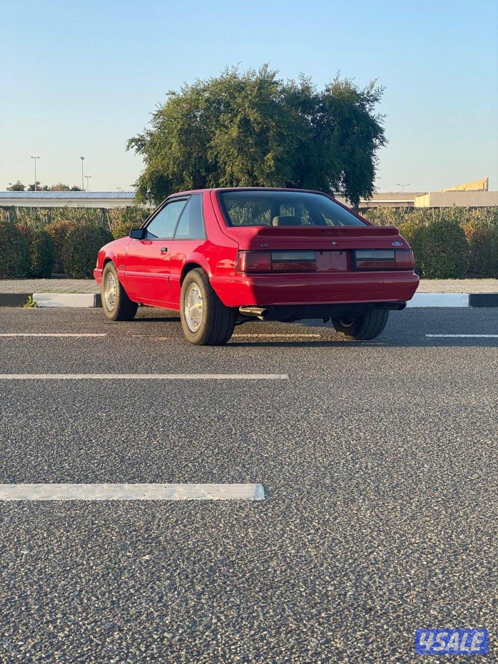 للبيع موستنق lx19873