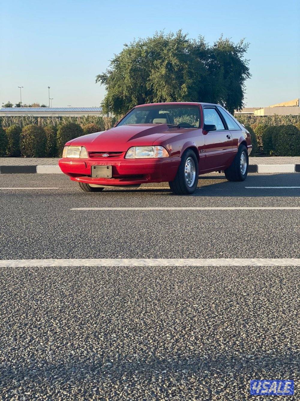 للبيع موستنق lx19874