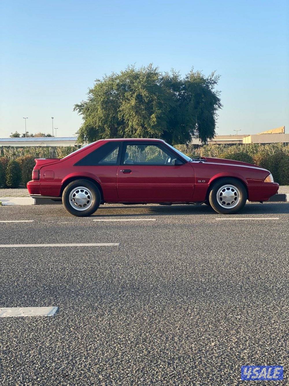 للبيع موستنق lx19875