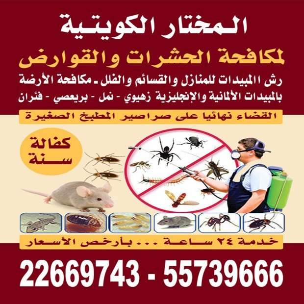 عصام1