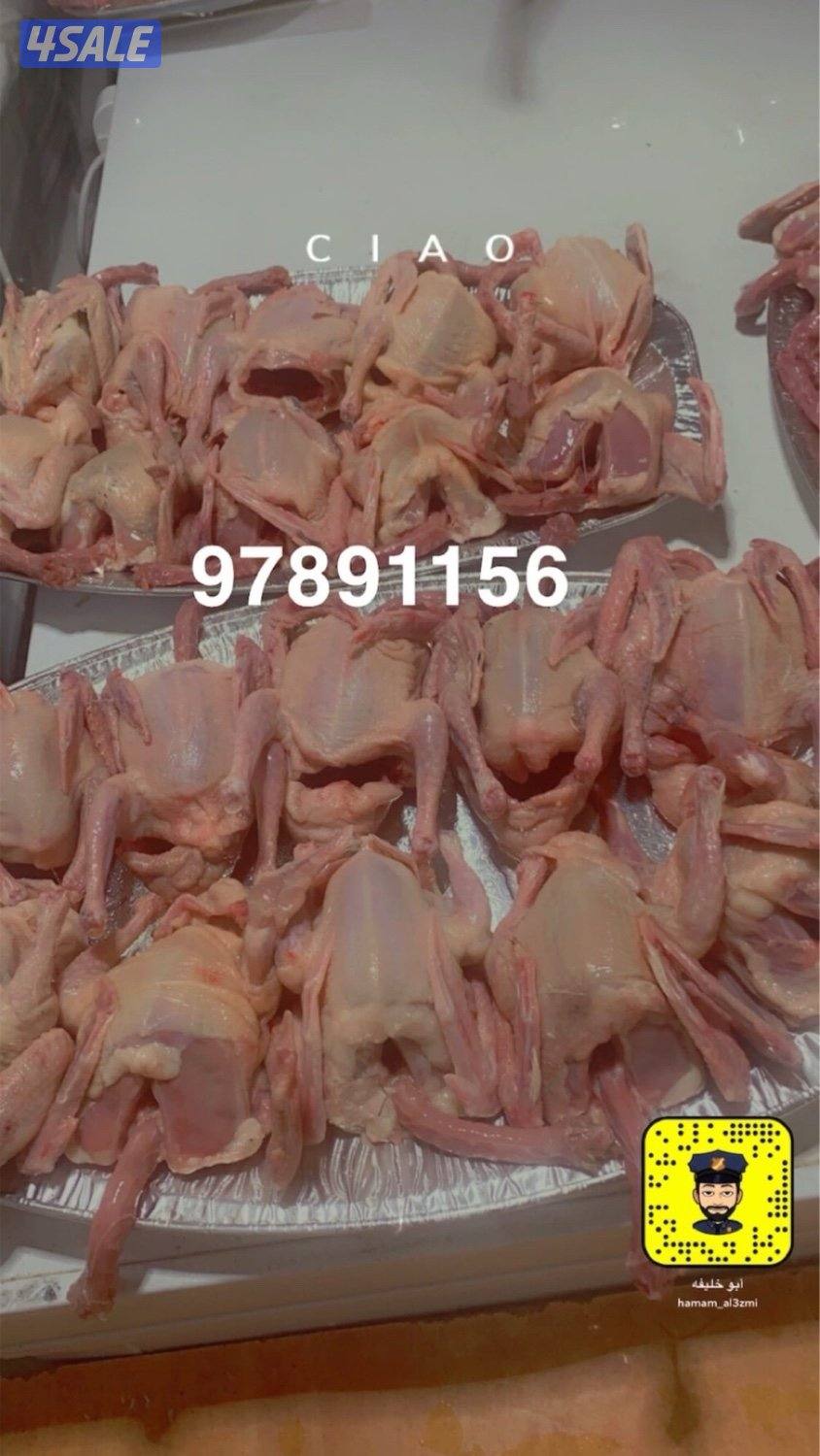 للبيع فروخ حمام و بط2