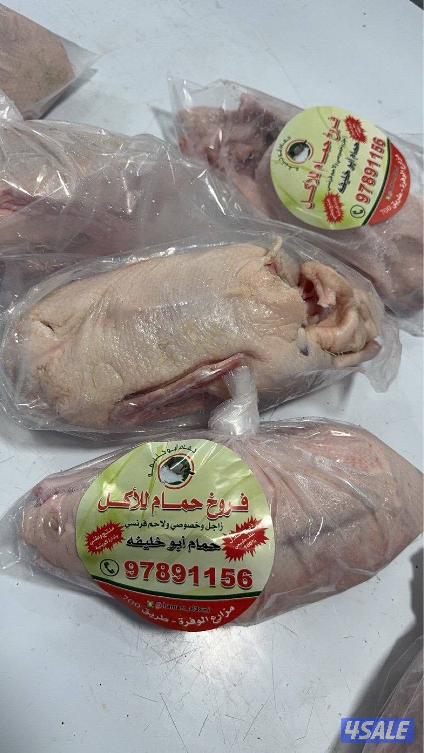 للبيع فروخ حمام و بط4