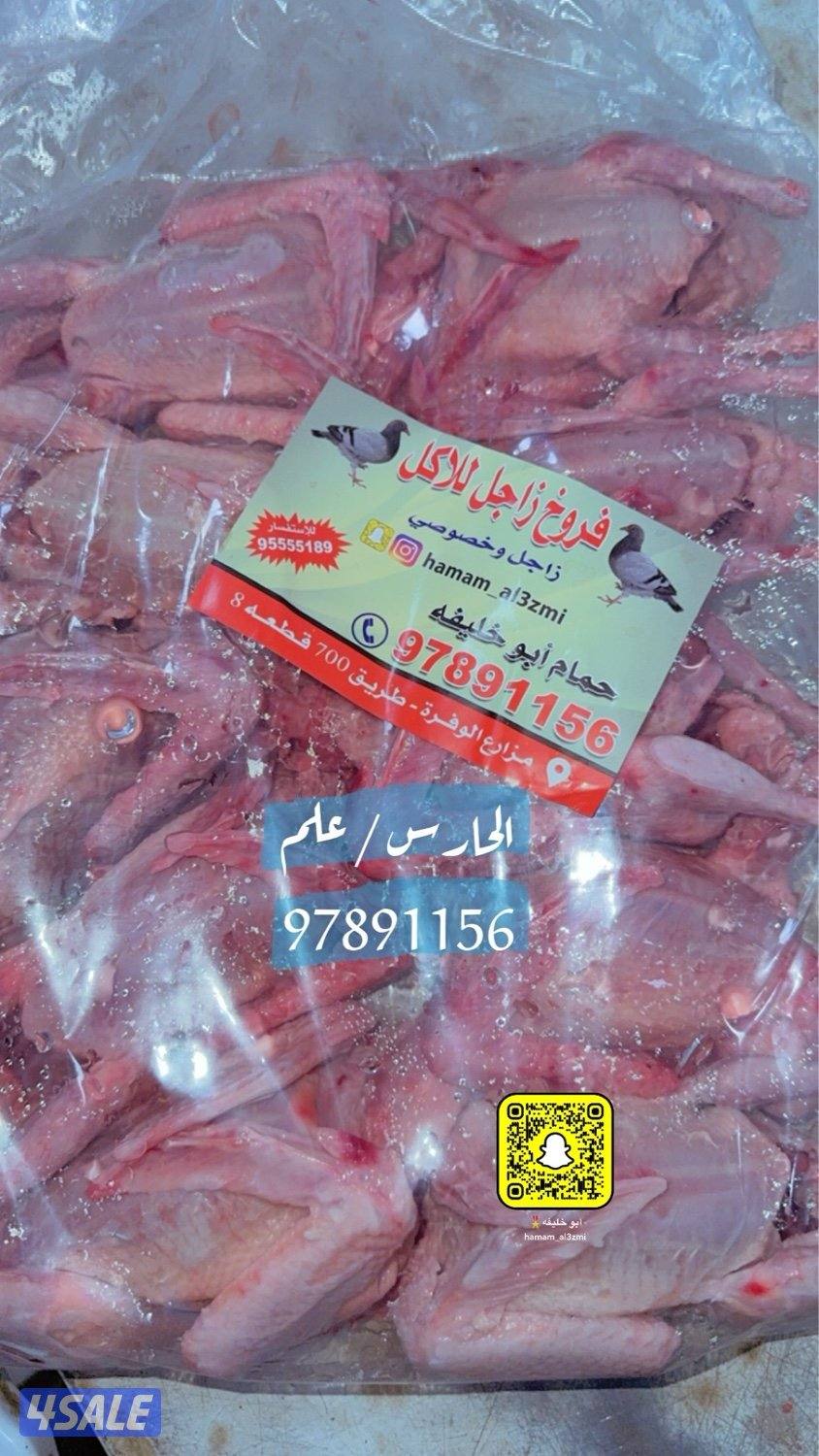 للبيع فروخ حمام و بط5