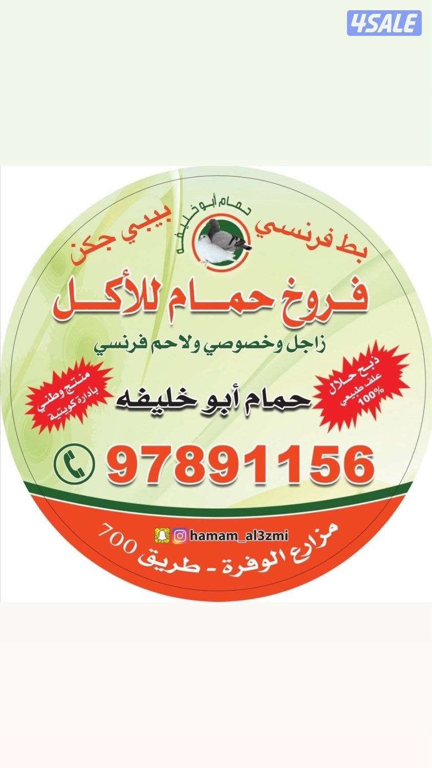 للبيع فروخ حمام و بط6