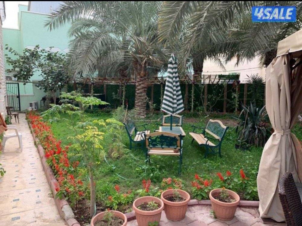 جواخير للبيع كبد0