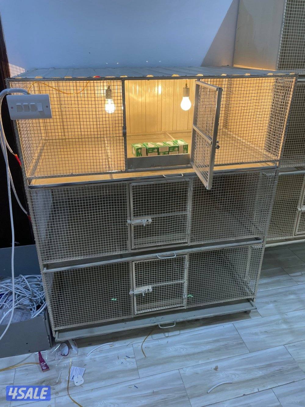 حضانة صيصان عالطلب0