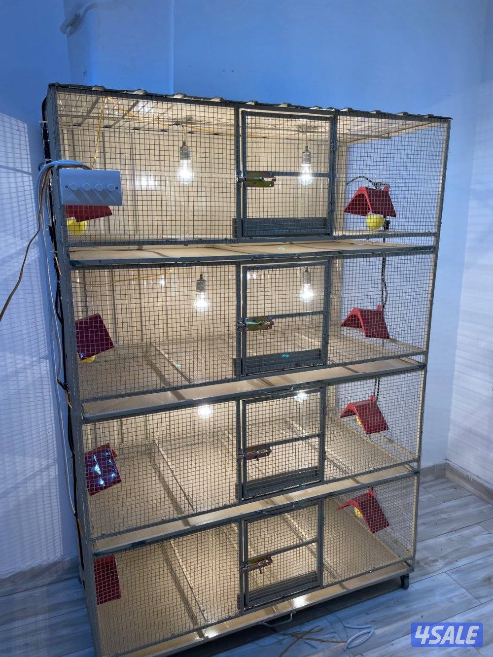 حضانة صيصان عالطلب12