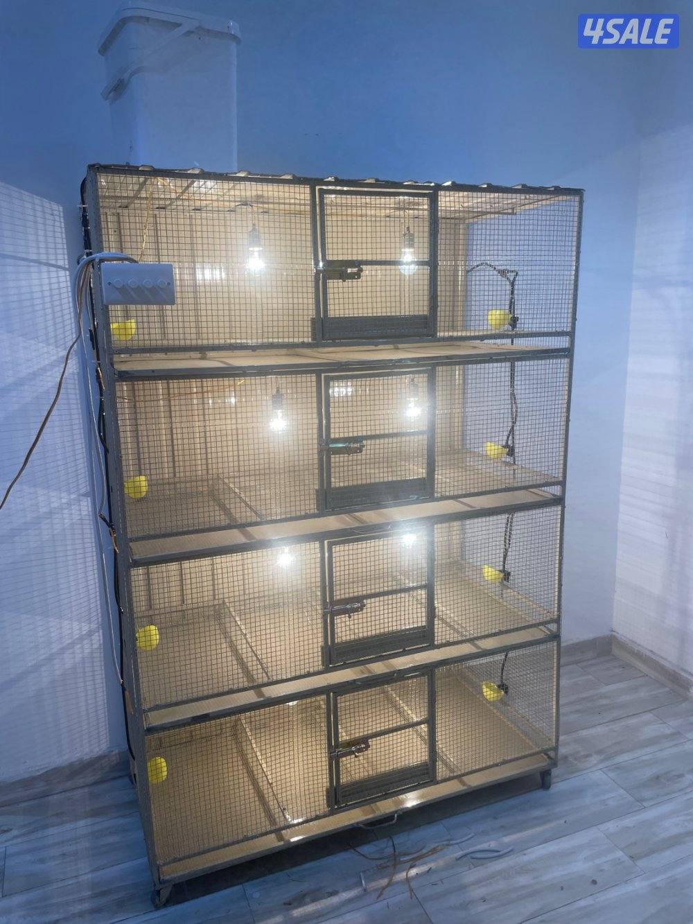 حضانة صيصان عالطلب13