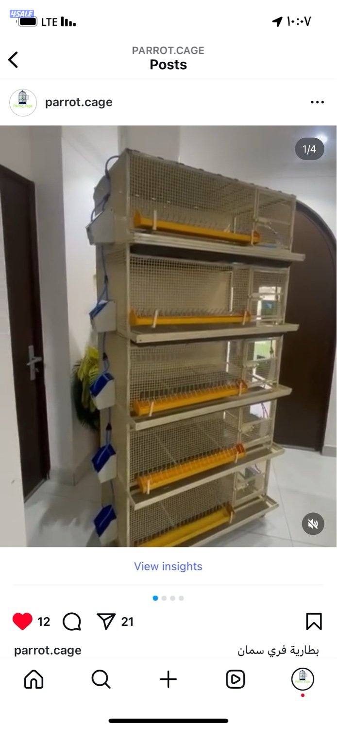 حضانة صيصان عالطلب5