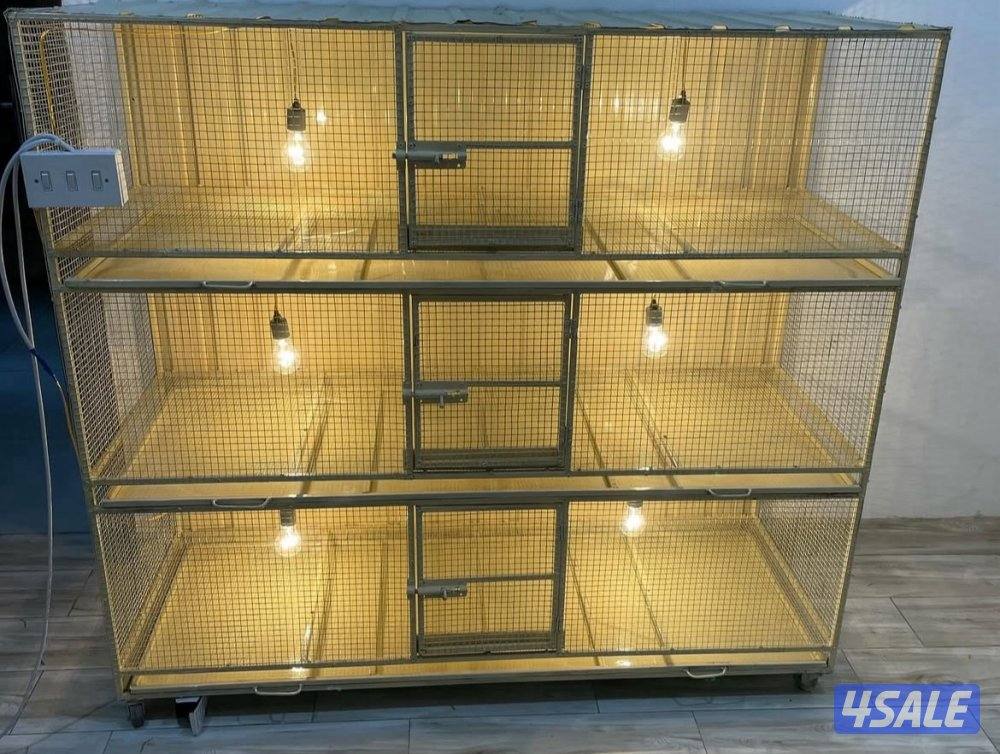 حضانة صيصان عالطلب7