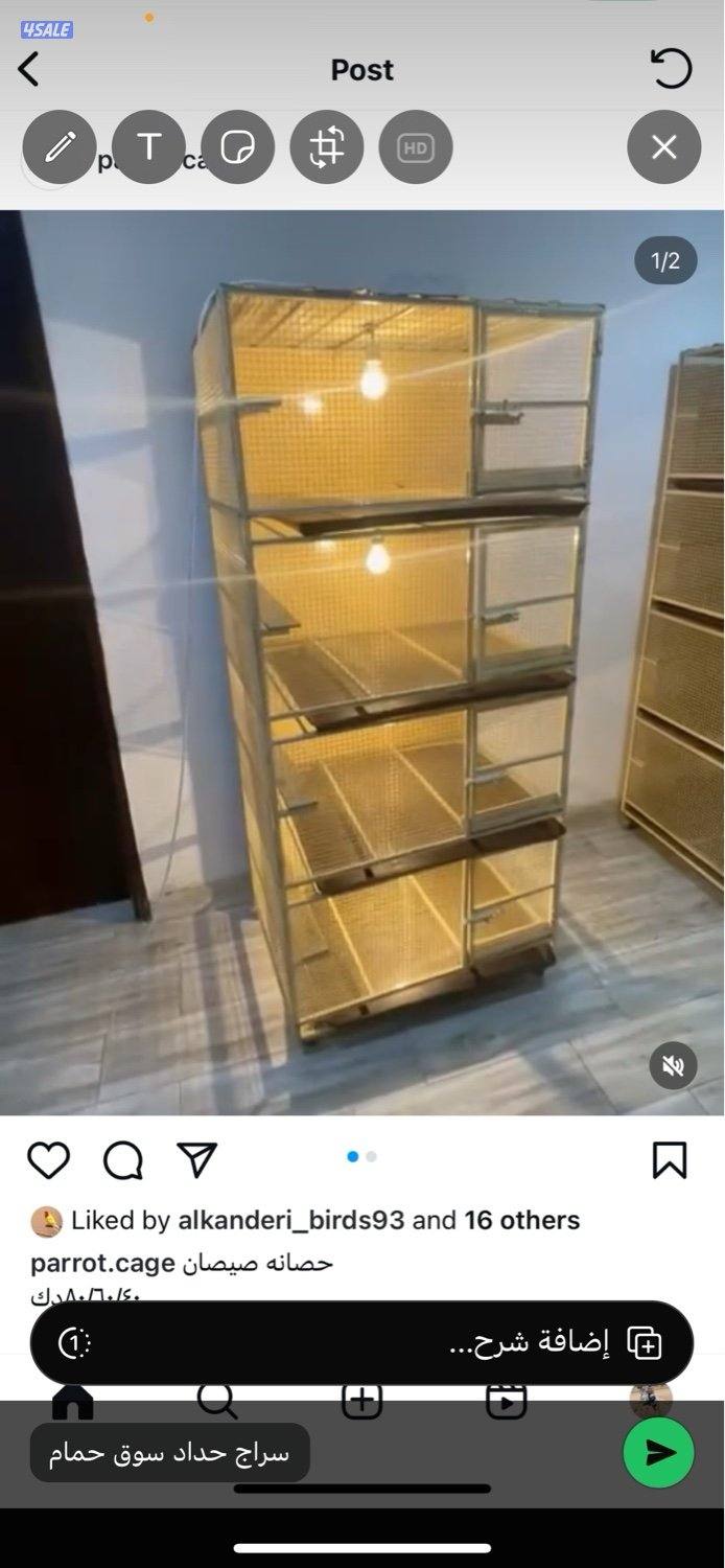 حضانة صيصان عالطلب9