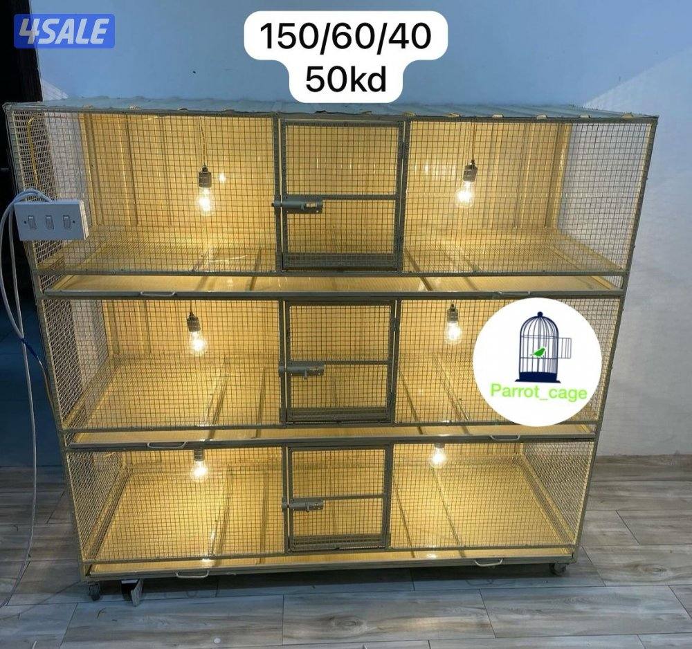 حضانة صيصان عالطلب2