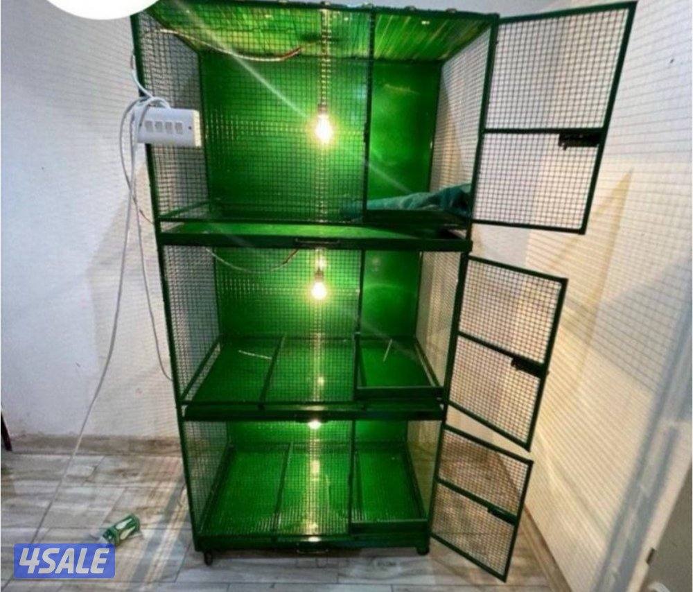 حضانة صيصان عالطلب14