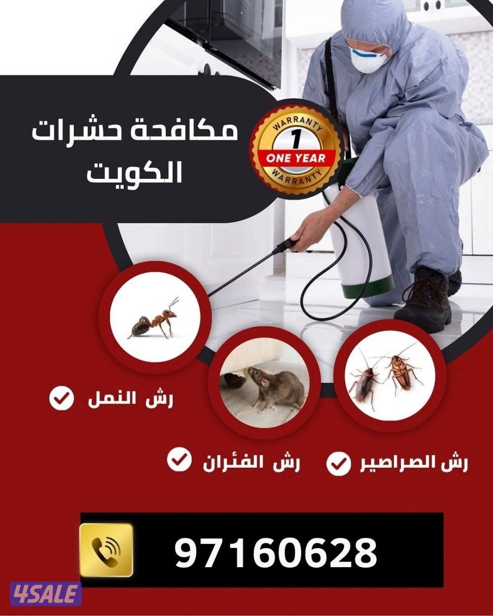 الخدمة الأقوى لمكافحة الحشرات2