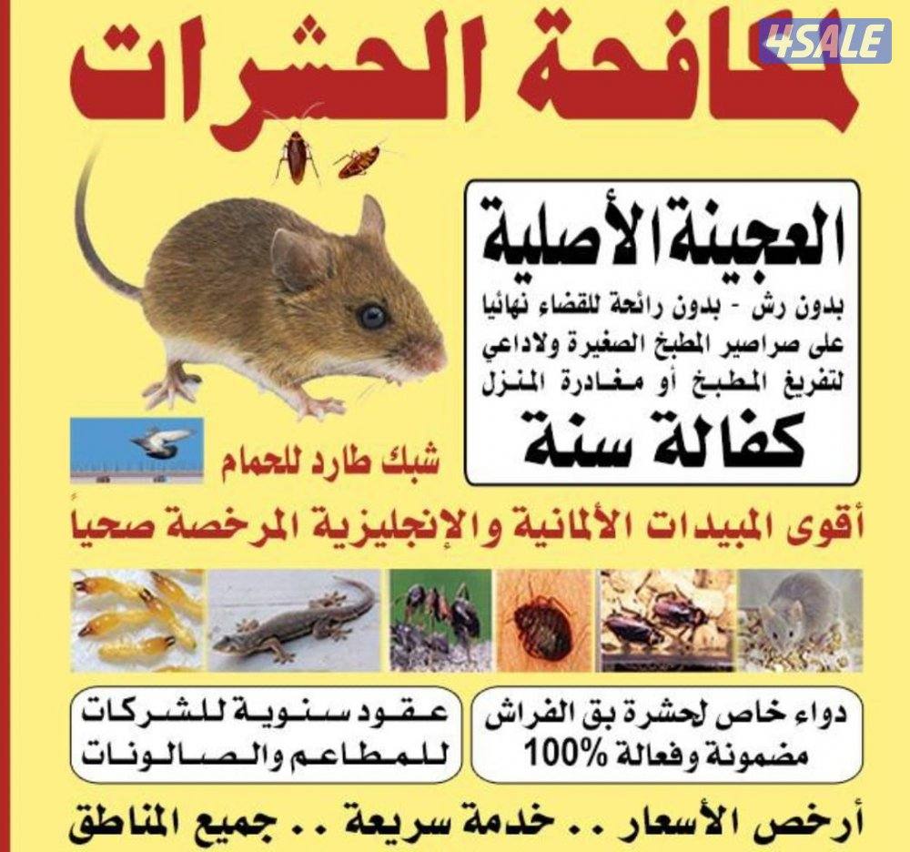 مكافحة حشرات وقوارض لدينا المبيدات الحشرية لكل أنواع الحشرات0