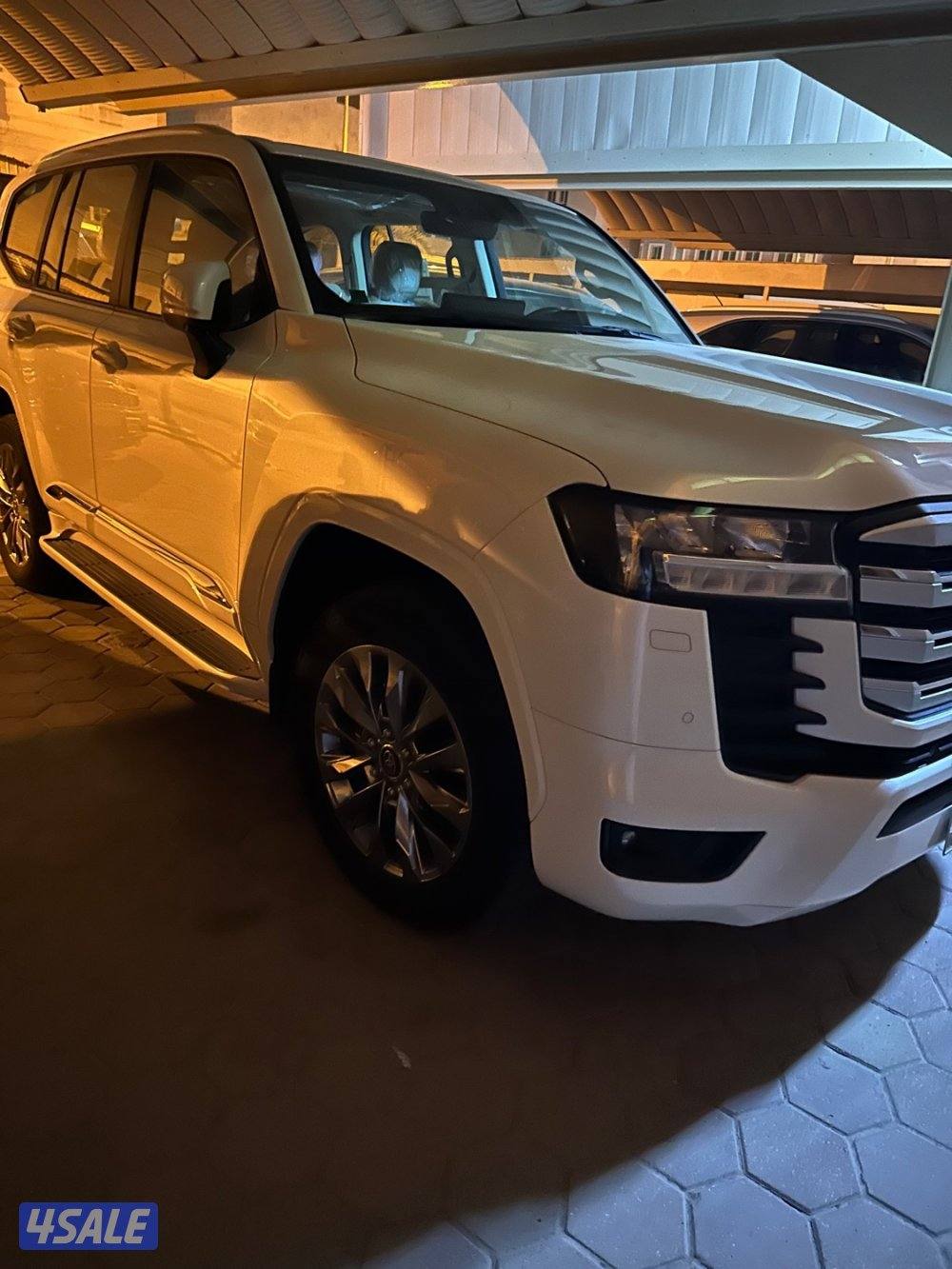 الصامل فقط0