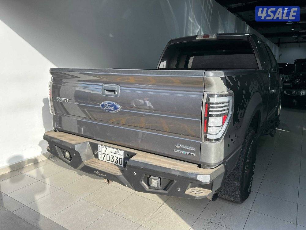 Ford F150 Double Cab4