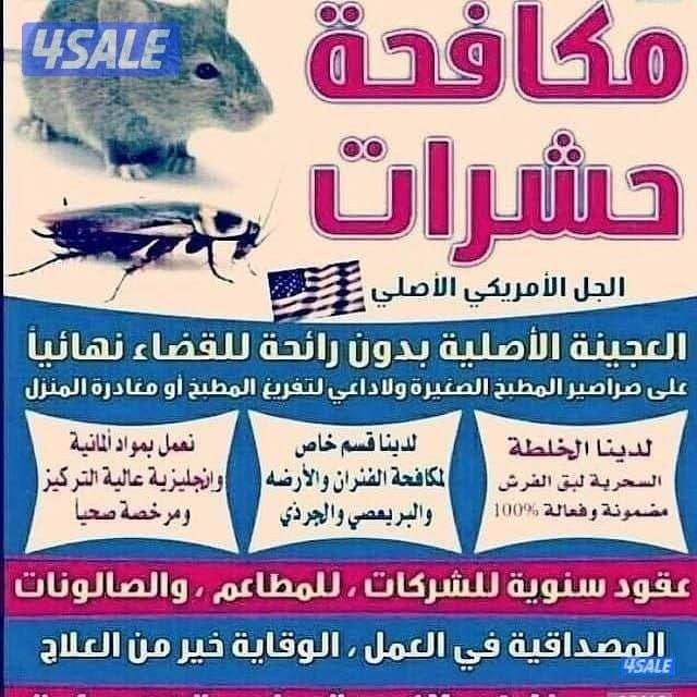 رش جميع الحشرات والصراصير الصغيره والنمل ب أحدث الموبدات الحشريه1