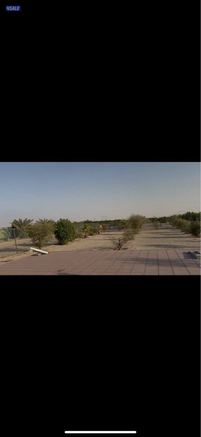 ايجار سنوي جاخور بالهجن0