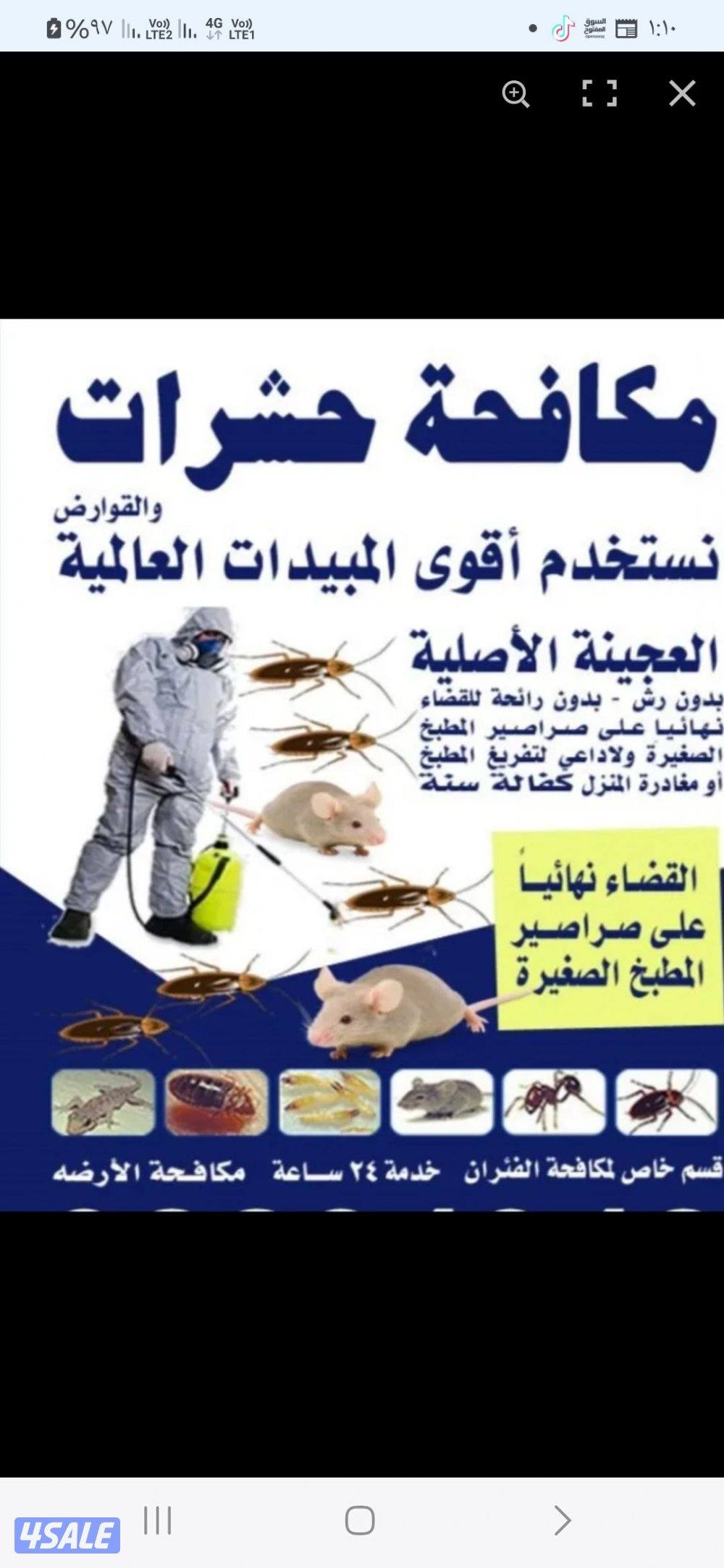 مكافحة حشرات وقوارض2