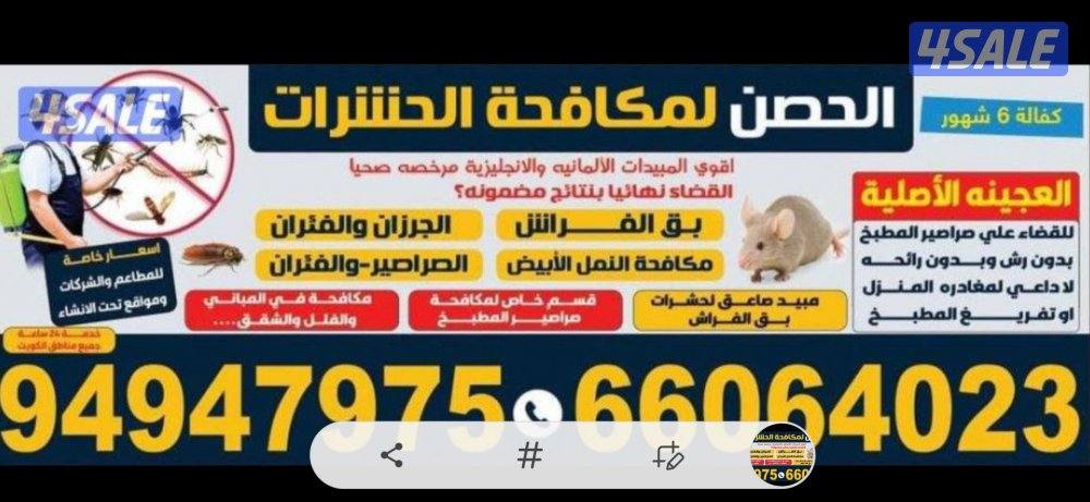 مكافحة حشرات وقوارض3