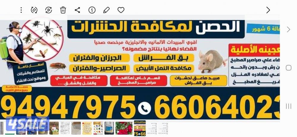 مكافحة حشرات وقوارض5