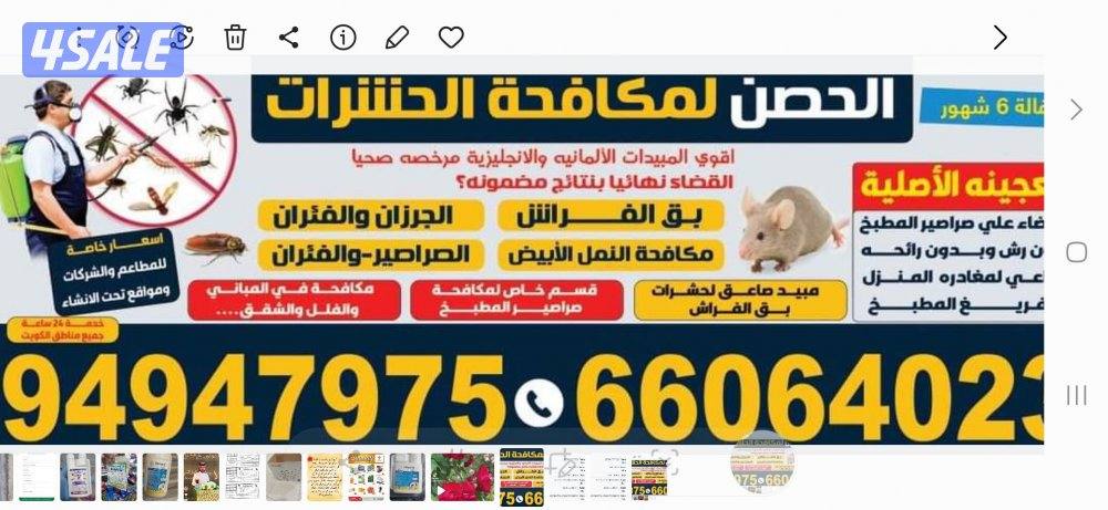 مكافحة حشرات وقوارض4