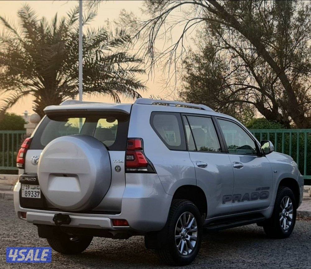 prado 2021 orignal paint3