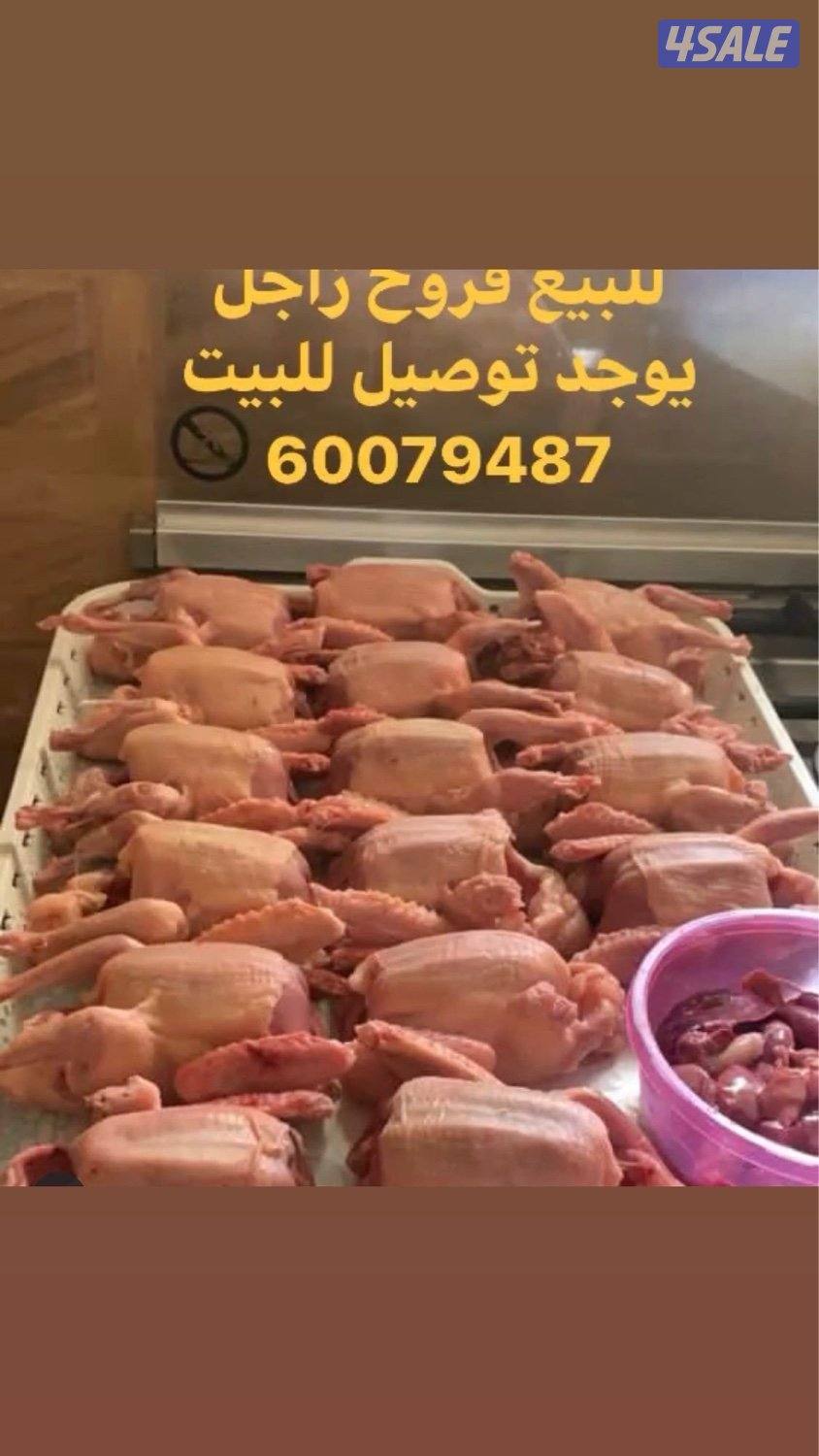 زاجلنا فروخ حمام و بط فرنسي ديج بلدي مذبوح ومنظف وجاهز يوجد توصيل1