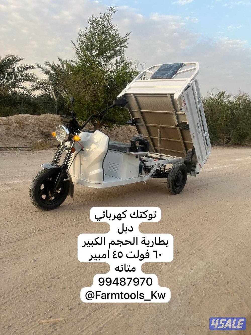 القاري الشقردي - تصفية4