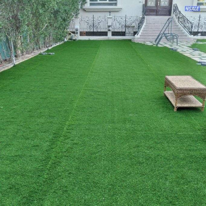 تنسيق جميع انواع الحدائق الداخليه7