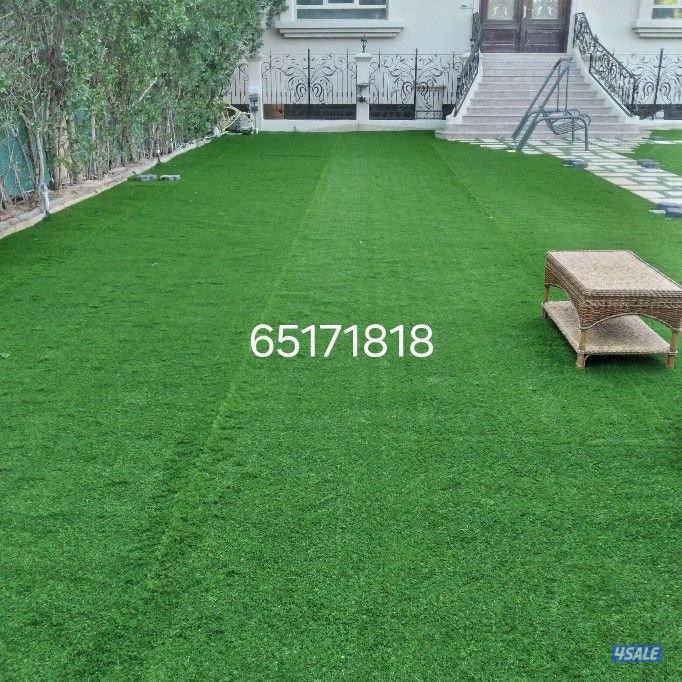 تنسيق جميع انواع الحدائق الداخليه8