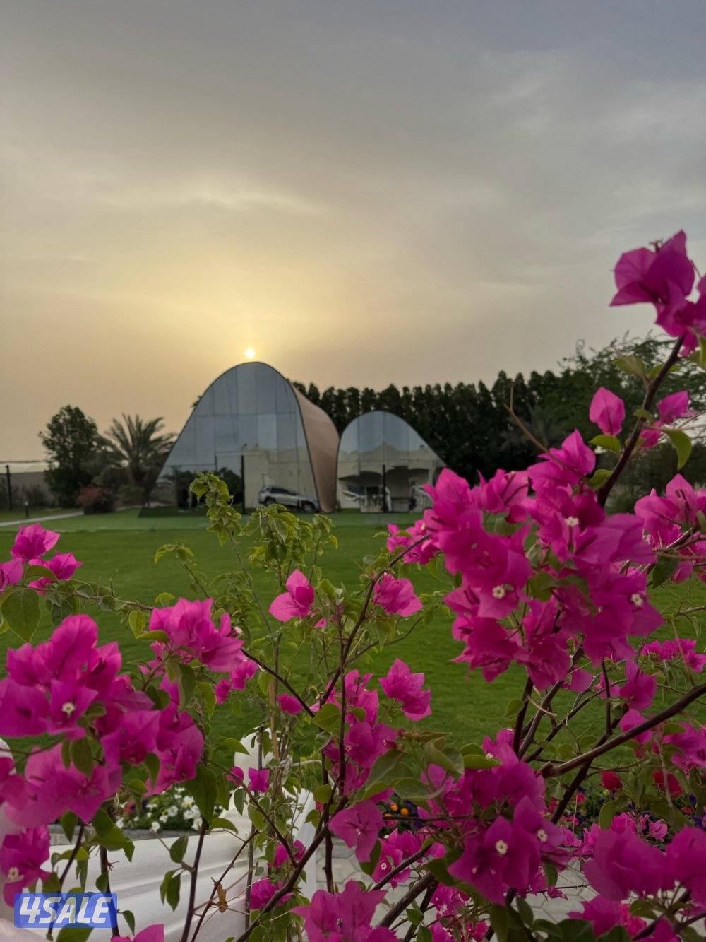 مزرعة الفهد للإيجار9