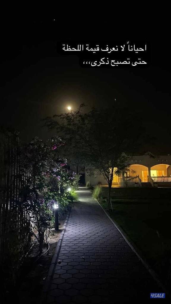 مزرعة الفهد للإيجار12