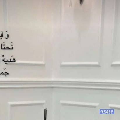أصباغ الريم الفض13