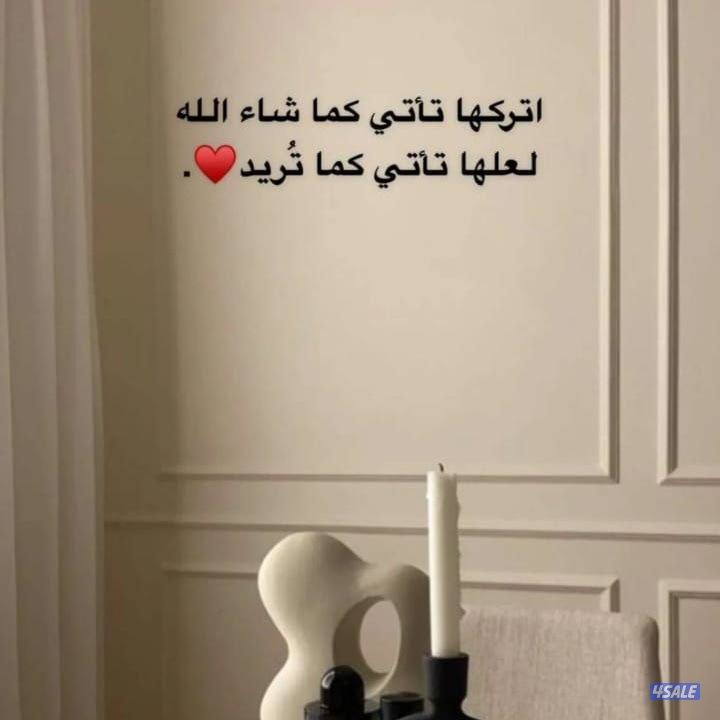 أصباغ الريم الفض12