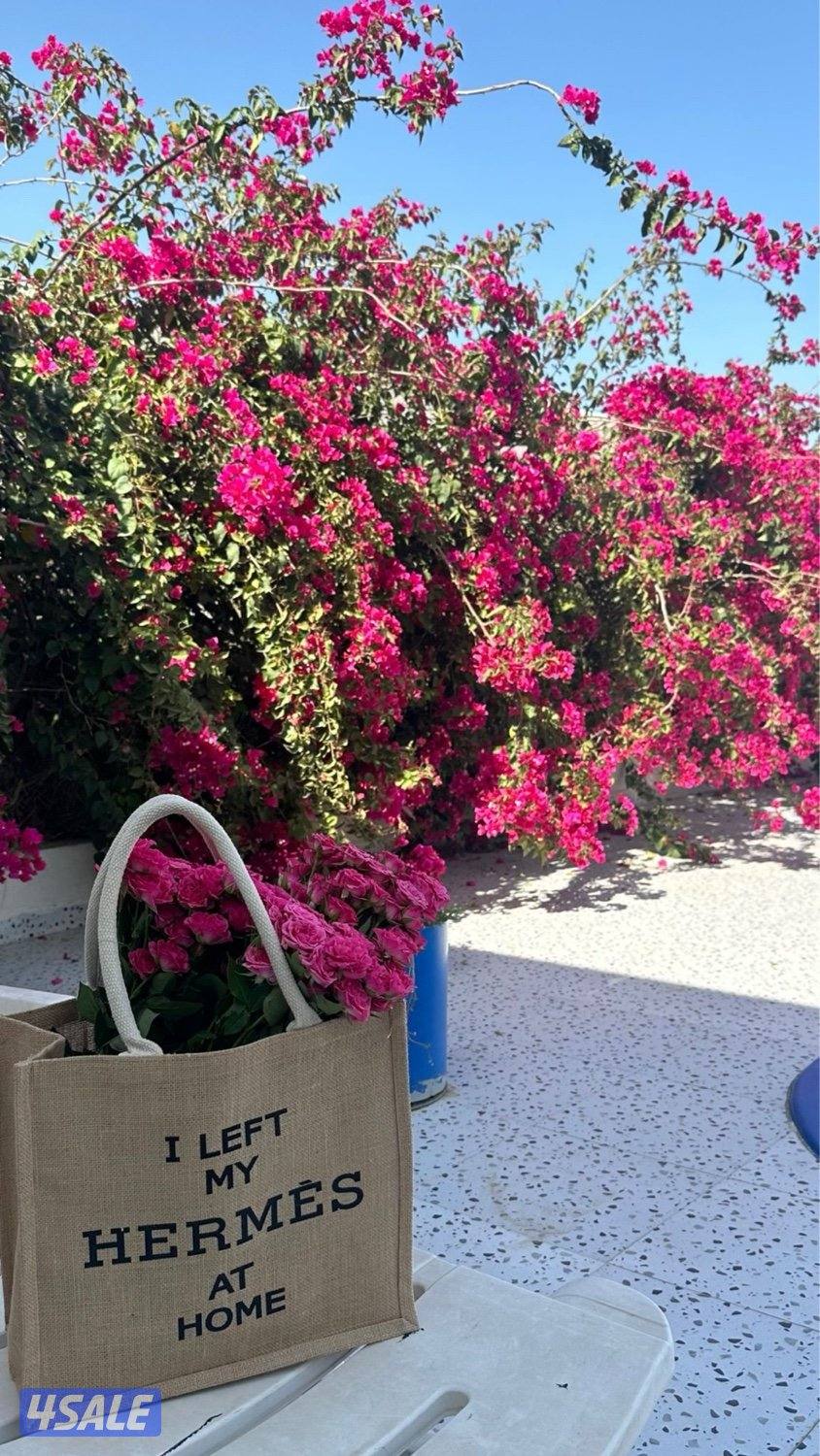 فيلا زينه مع مسبح برايفت الخصوصية 💯2