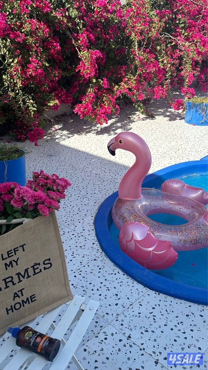 فيلا زينه مع مسبح برايفت الخصوصية 💯3