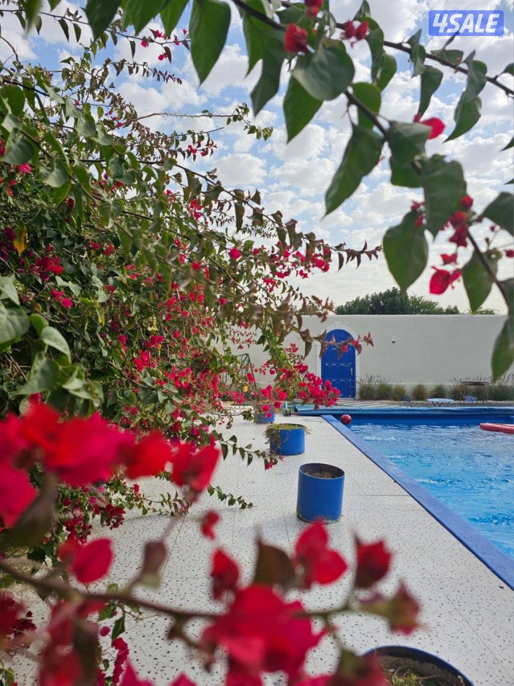 فيلا زينه مع مسبح برايفت الخصوصية 💯11