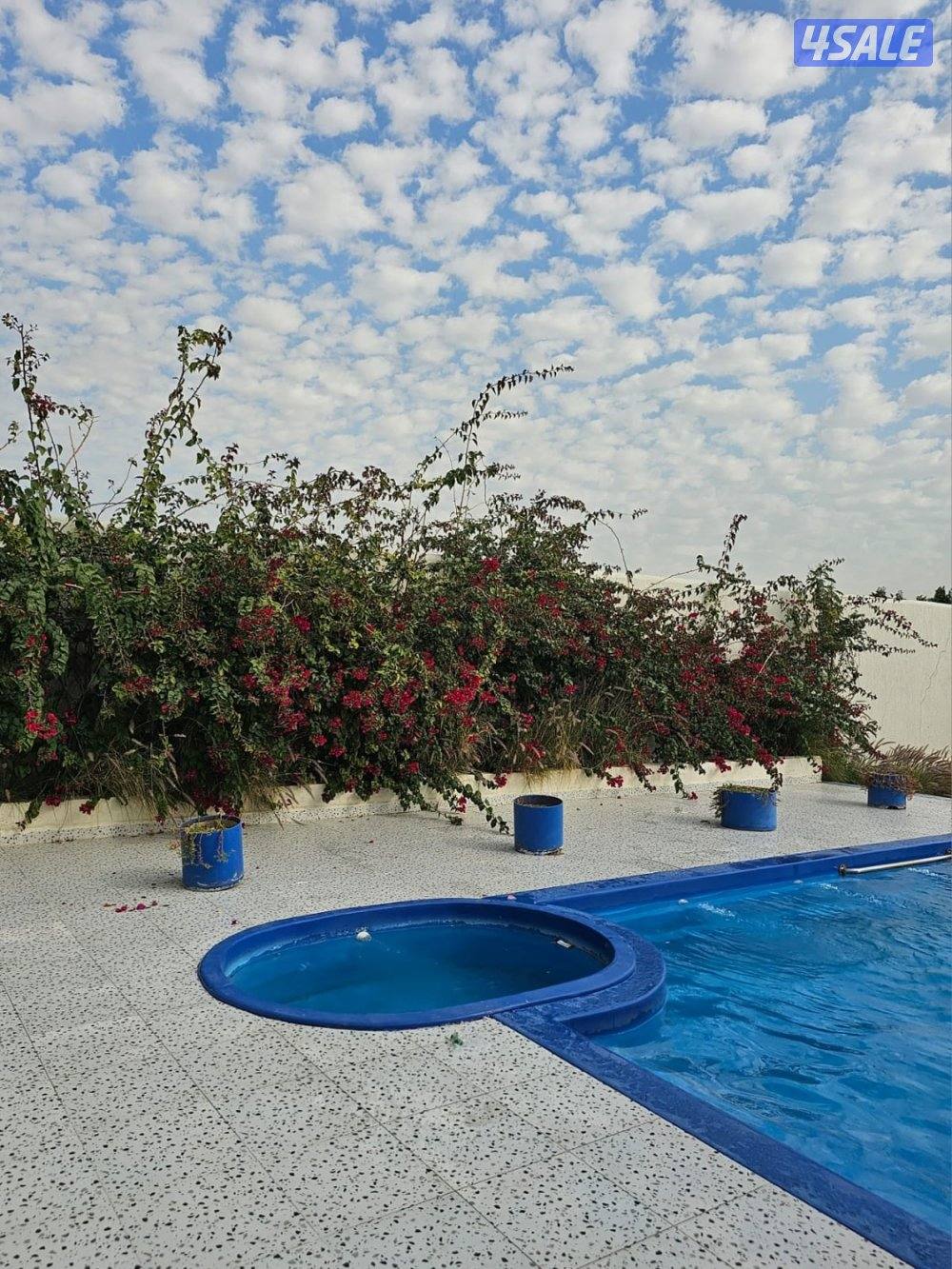 فيلا زينه مع مسبح برايفت الخصوصية 💯12