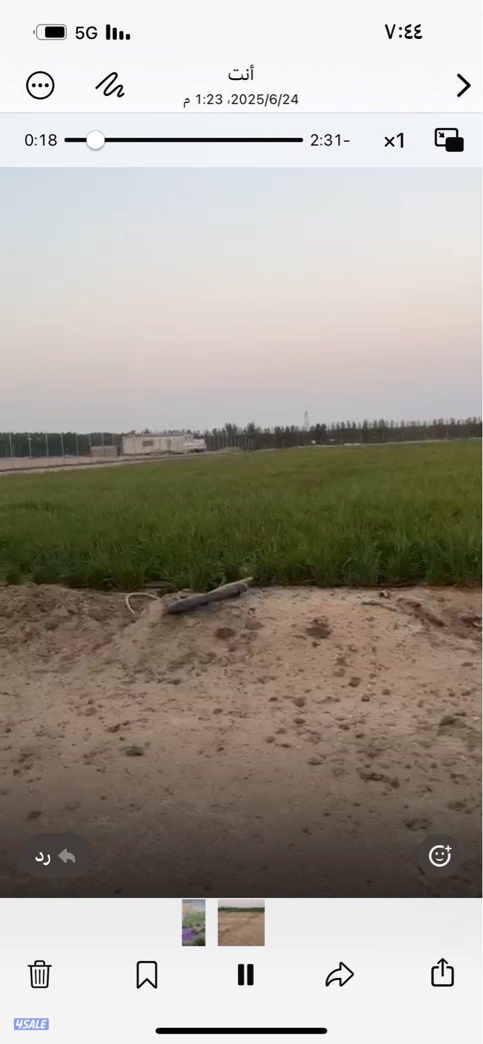 مزرعة بالعبدلي للبيع او للايجار0