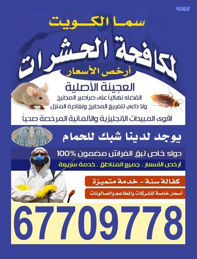 مكافحة جميع انواع الحشرات0