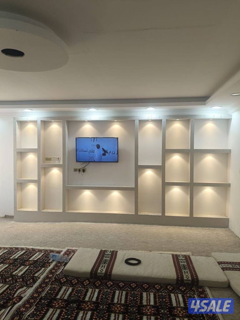 جبسون بورد بارتشن 60 60 شيبورد10