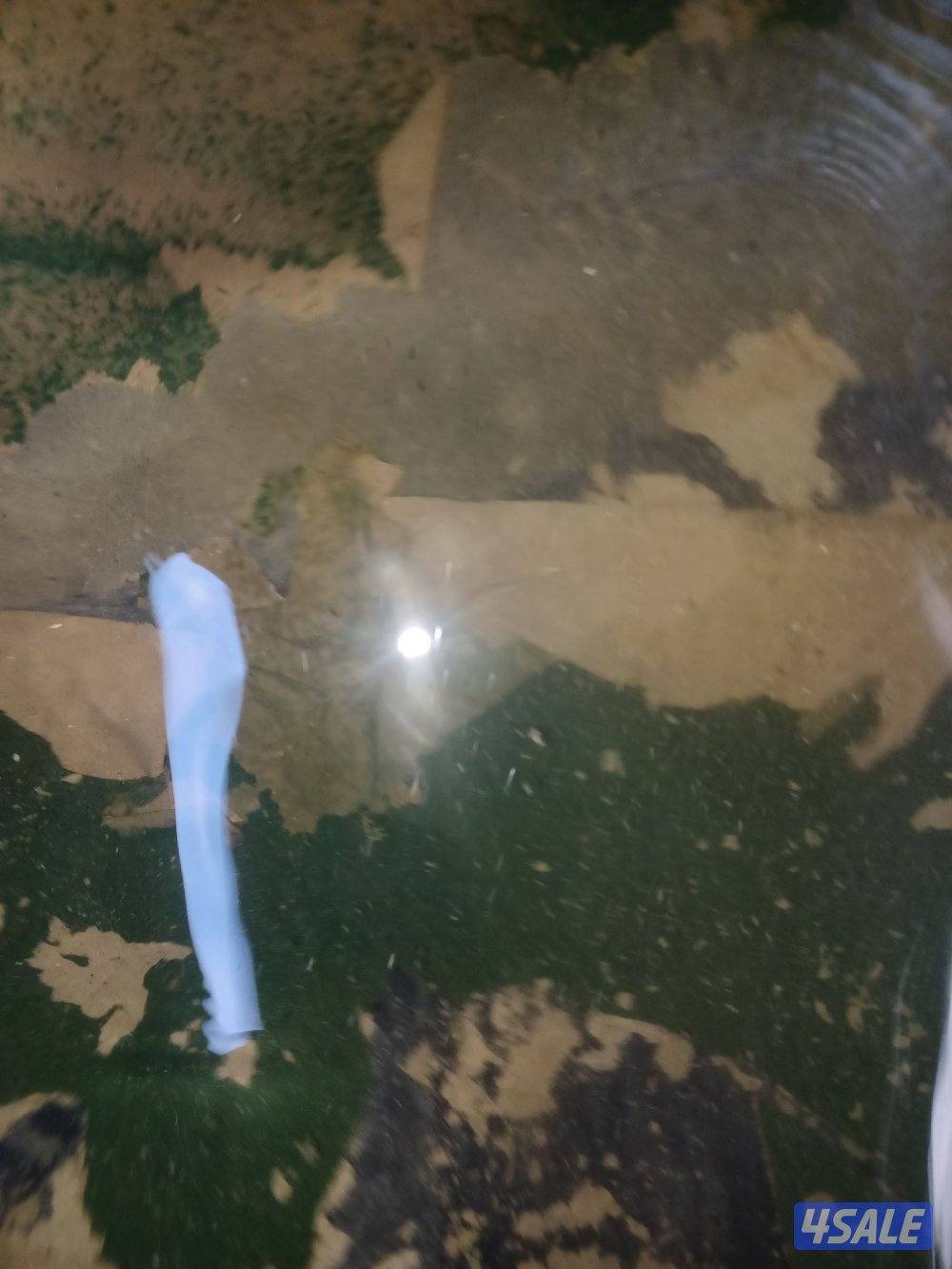 غسيل وتصليح التوانكي10