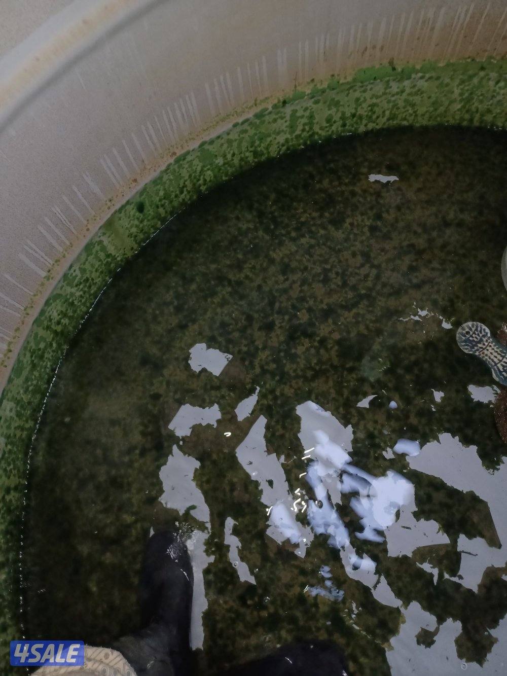 غسيل وتصليح التوانكي12