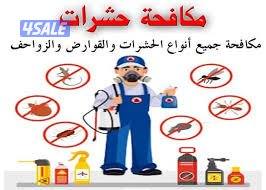 مكافحة حشرات رش حشرات مكافحه قوارض رش مبيدات رش صراصير  بأفضل الأسعار7