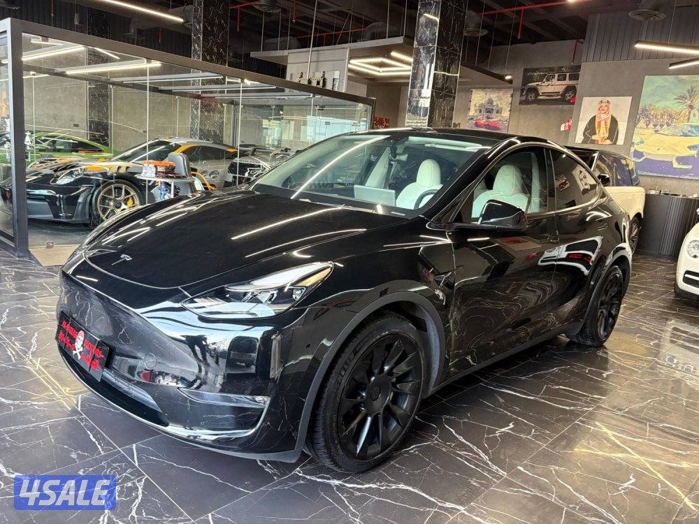 تسلا MODEL Y0